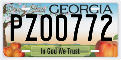 GA license plate PZO0772