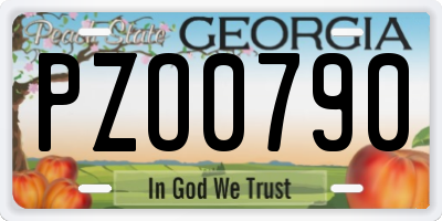 GA license plate PZO0790