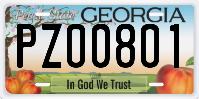 GA license plate PZO0801