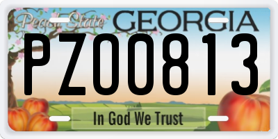 GA license plate PZO0813
