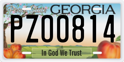 GA license plate PZO0814