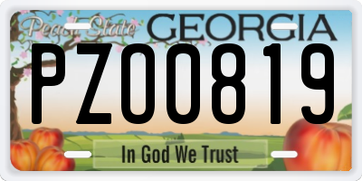 GA license plate PZO0819