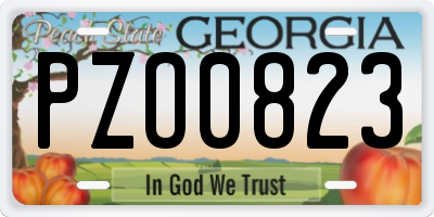 GA license plate PZO0823