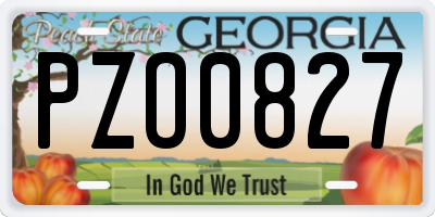 GA license plate PZO0827