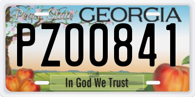 GA license plate PZO0841