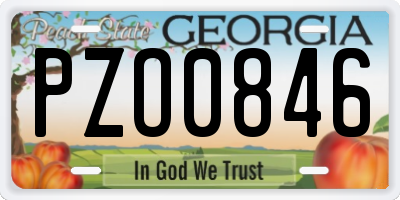 GA license plate PZO0846