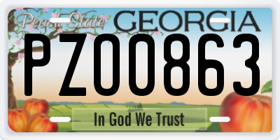 GA license plate PZO0863