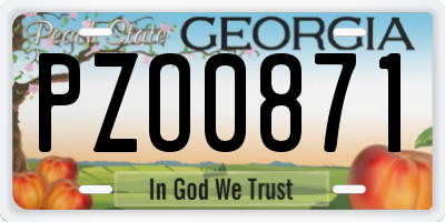 GA license plate PZO0871