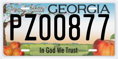 GA license plate PZO0877