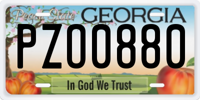 GA license plate PZO0880