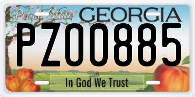 GA license plate PZO0885