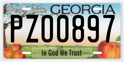 GA license plate PZO0897