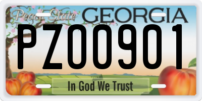 GA license plate PZO0901