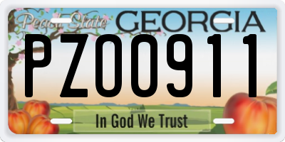 GA license plate PZO0911