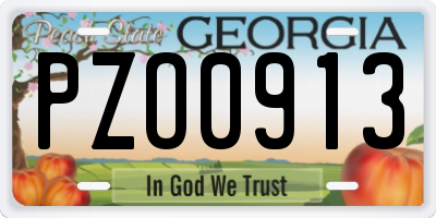GA license plate PZO0913