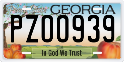 GA license plate PZO0939