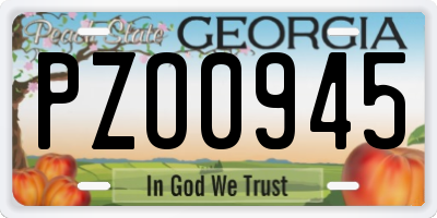 GA license plate PZO0945