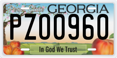GA license plate PZO0960