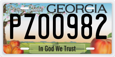 GA license plate PZO0982