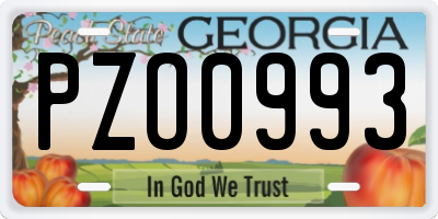 GA license plate PZO0993