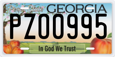 GA license plate PZO0995