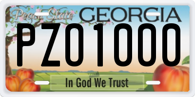 GA license plate PZO1000