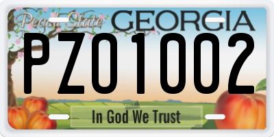 GA license plate PZO1002