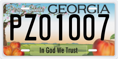 GA license plate PZO1007