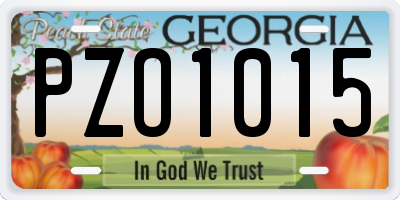 GA license plate PZO1015