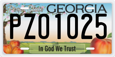 GA license plate PZO1025