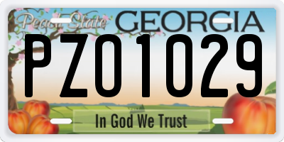 GA license plate PZO1029