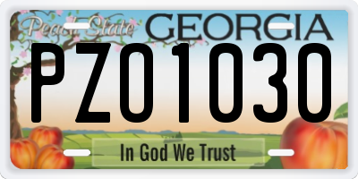GA license plate PZO1030