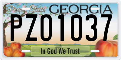 GA license plate PZO1037
