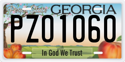 GA license plate PZO1060