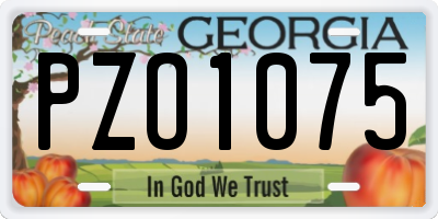 GA license plate PZO1075