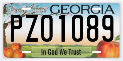 GA license plate PZO1089