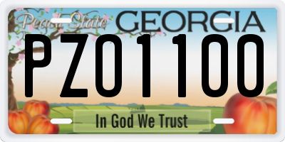 GA license plate PZO1100