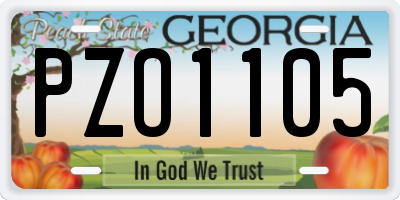 GA license plate PZO1105