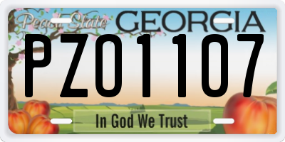 GA license plate PZO1107