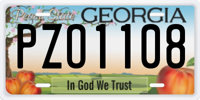 GA license plate PZO1108
