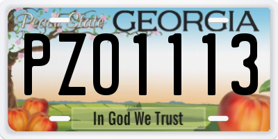 GA license plate PZO1113