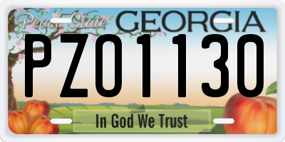 GA license plate PZO1130