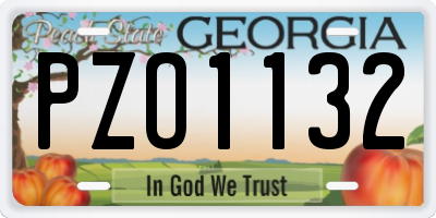 GA license plate PZO1132