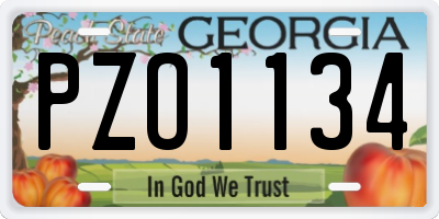 GA license plate PZO1134