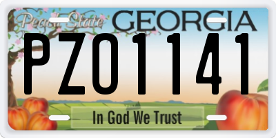 GA license plate PZO1141