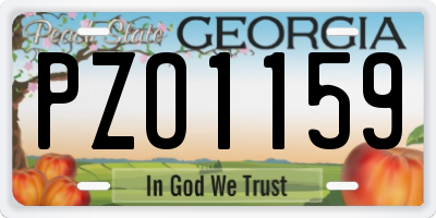 GA license plate PZO1159