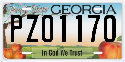 GA license plate PZO1170