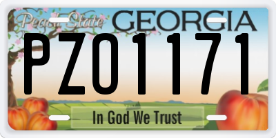 GA license plate PZO1171