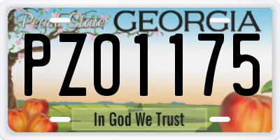 GA license plate PZO1175