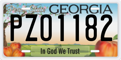 GA license plate PZO1182